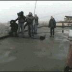 Gifs Of The Day – The Police Brains’ Trust
